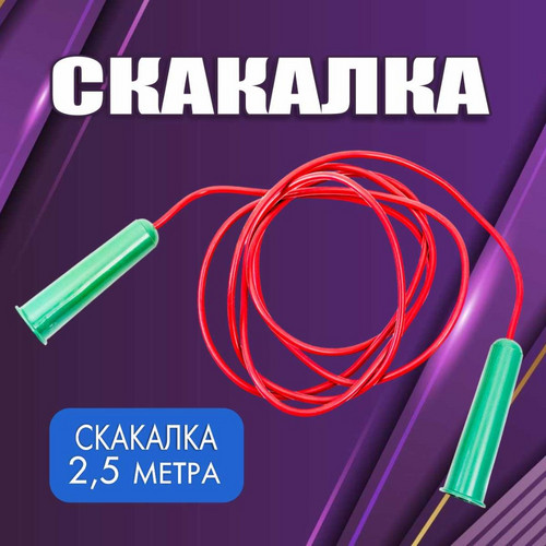 Скакалка цветная (2,5 метра) фото