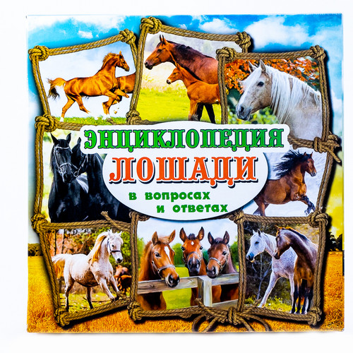 Игра-викторина ЭНЦИКЛОПЕДИЯ 